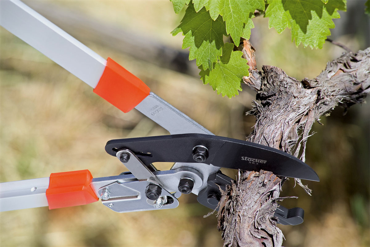 Stocker Ratschen-Astschere teleskopisch