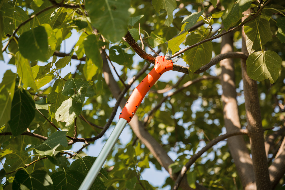 Stocker Kantia E-22 TR Teleskopschere