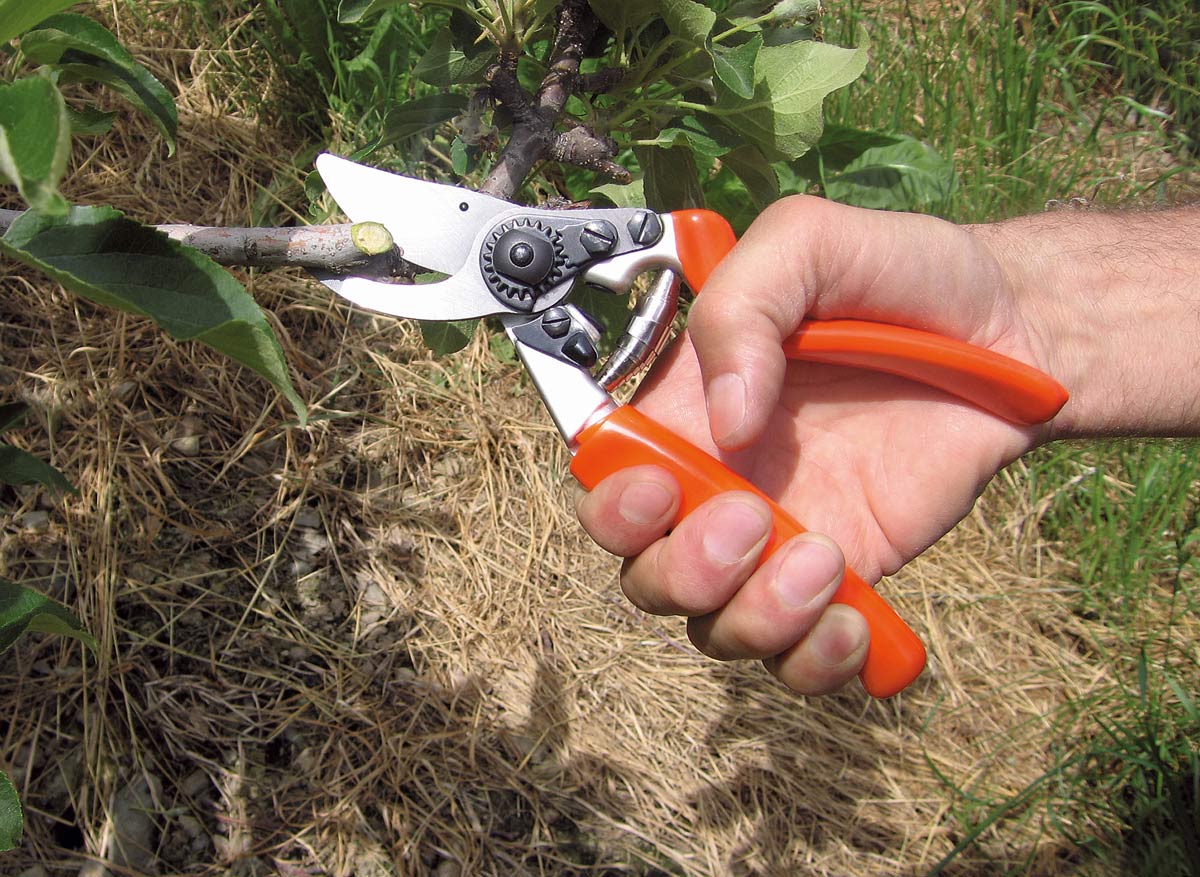 Stocker Schere Profi Bypass 22