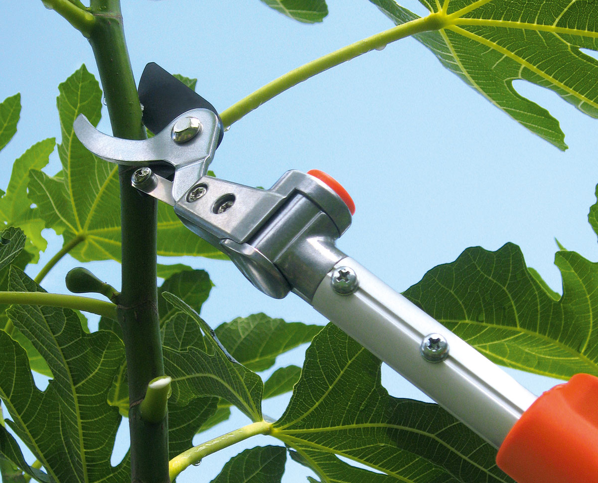 Stocker Teleskop-Schere mit beweglichem Kopf