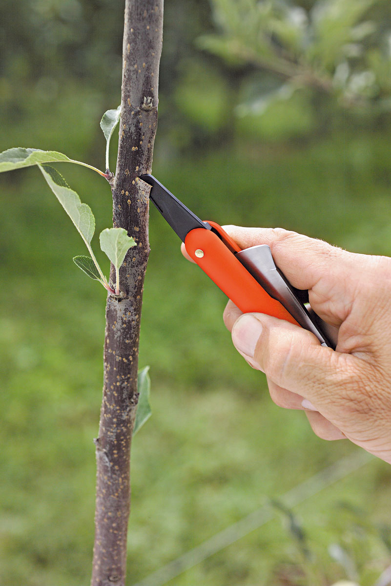 Stocker Okuliermesser 55