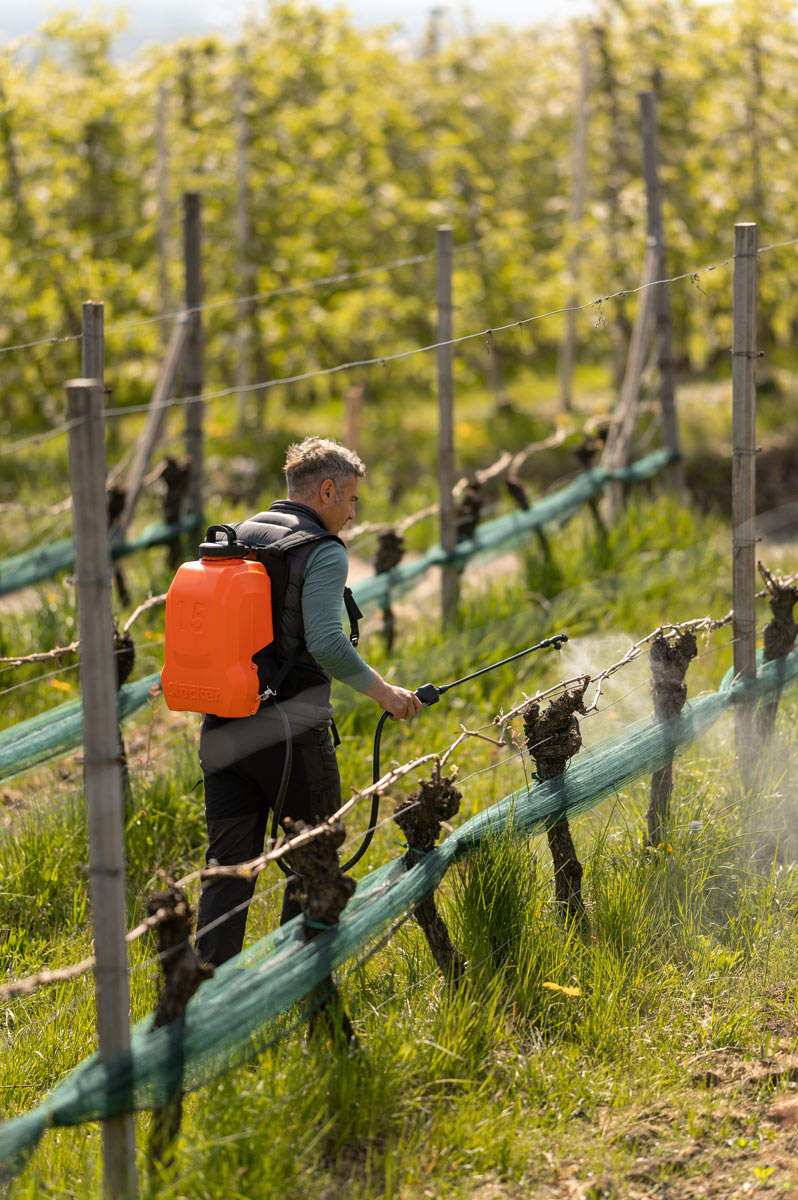 Stocker Nebla Elektrische Rückenspritze 15 L Li-Ion FPM