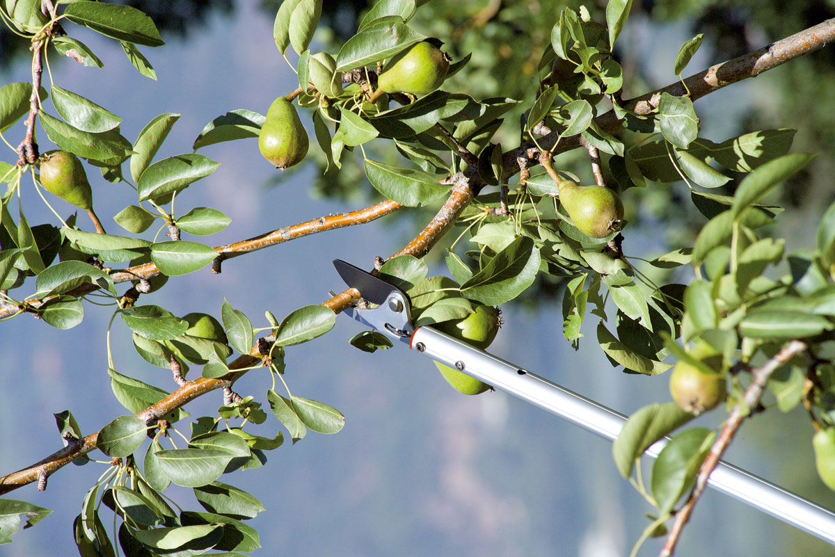 Stocker Bypass-Langarmschere 120