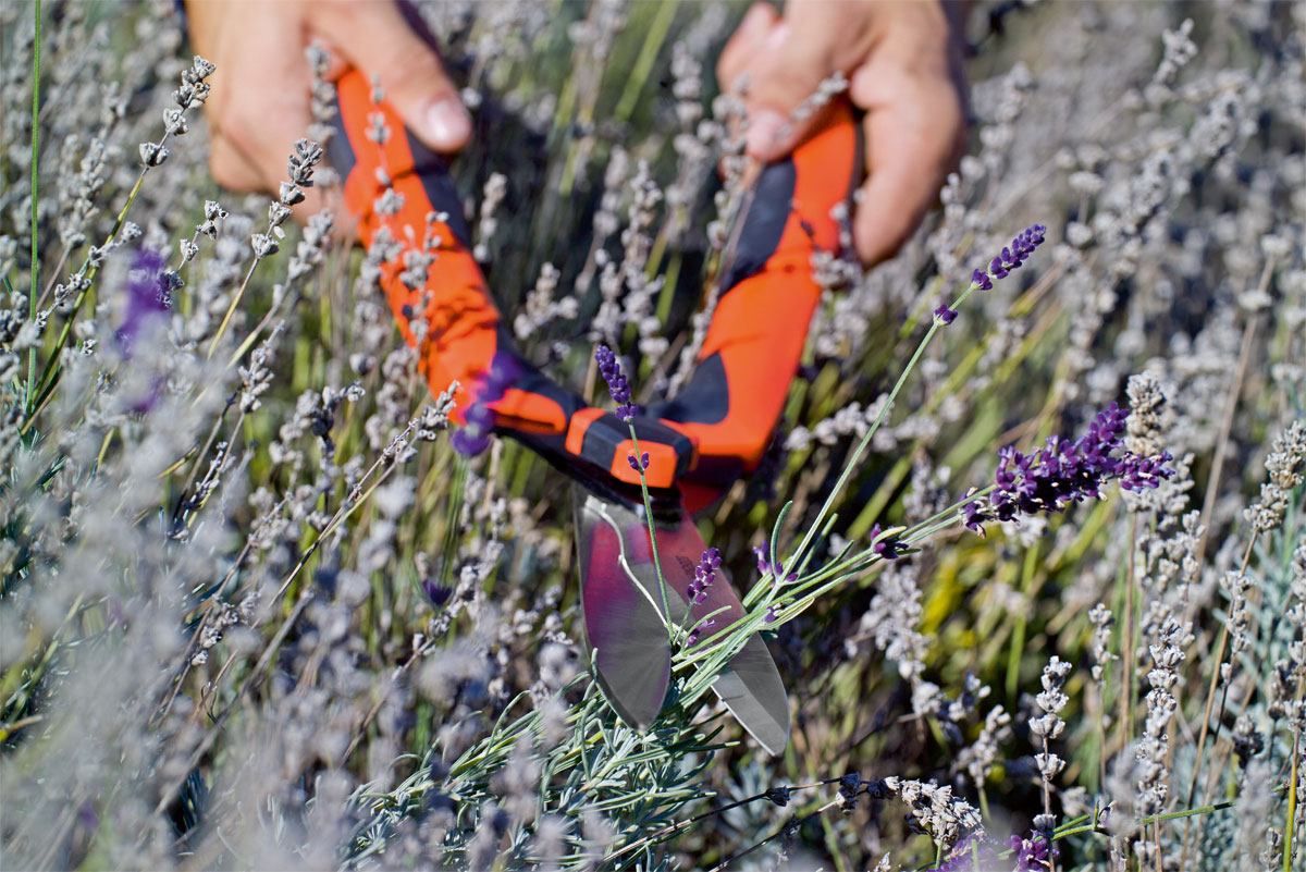 Stocker Heckenschere Hobby 55