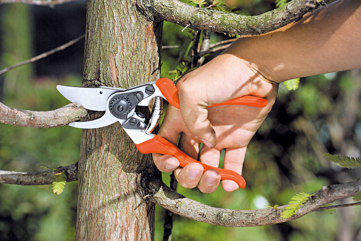 Stocker Schere Profi Bypass 22