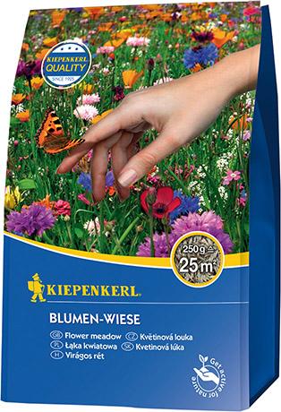 Blumen-Wiese