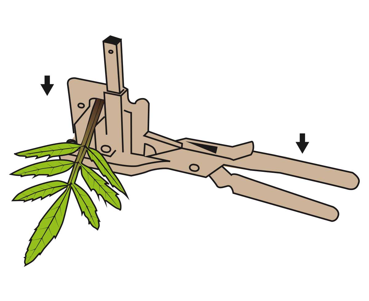 Stocker Veredelungszange Top