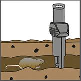 Wühlmausfalle SuperCat Swissinno Solution