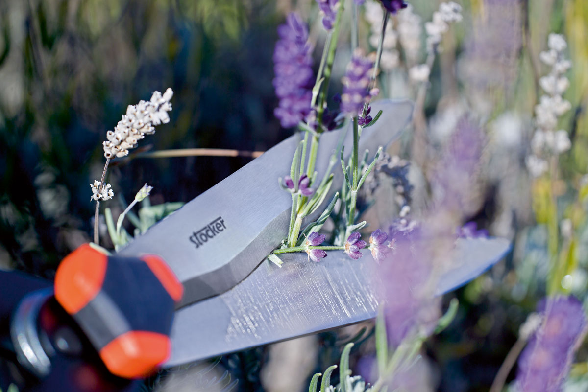 Stocker Heckenschere Hobby 55