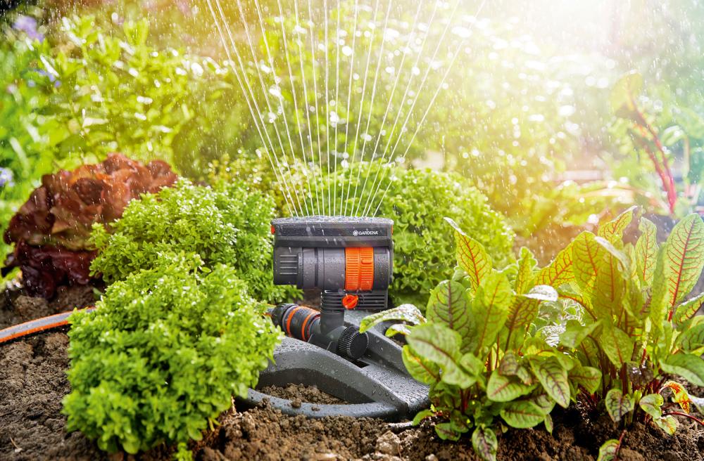 Viereckregner AquaZoom compact 18708-20