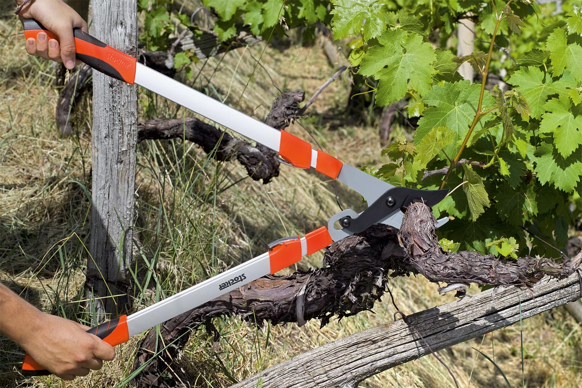 Stocker Teleskop-Astschere Bypass