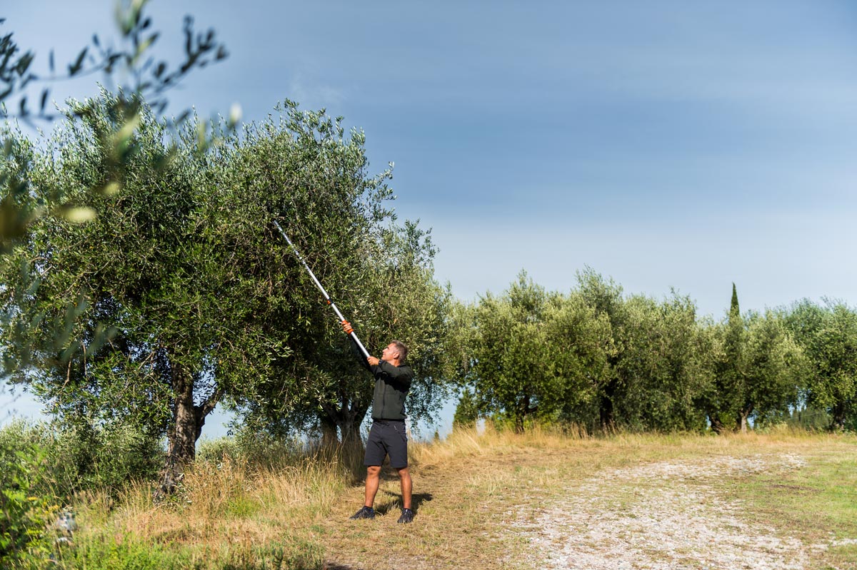 Stocker Teleskop-Langarmschere