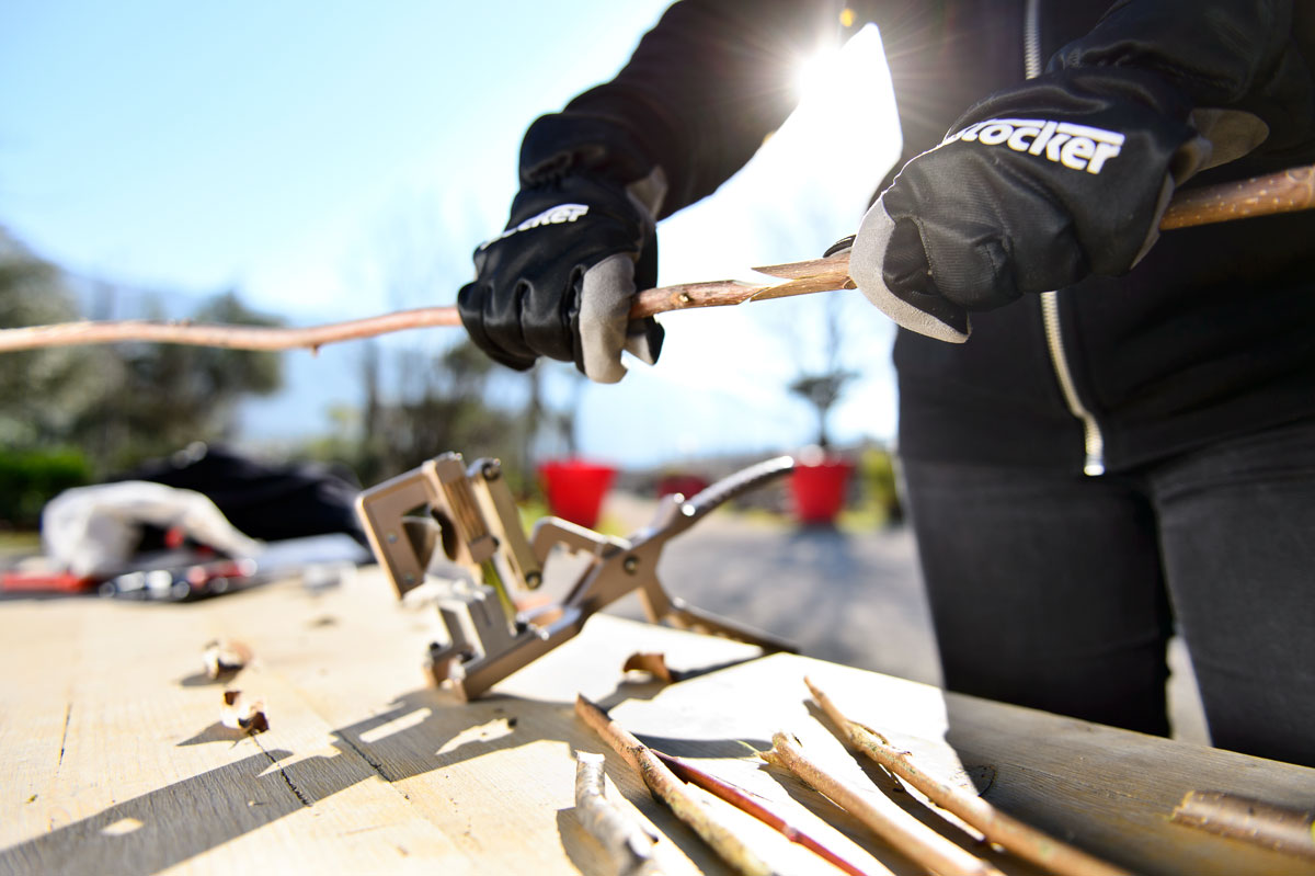 Stocker Veredelungszange Top