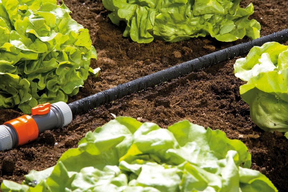 Perlregner 7,5 m Gardena