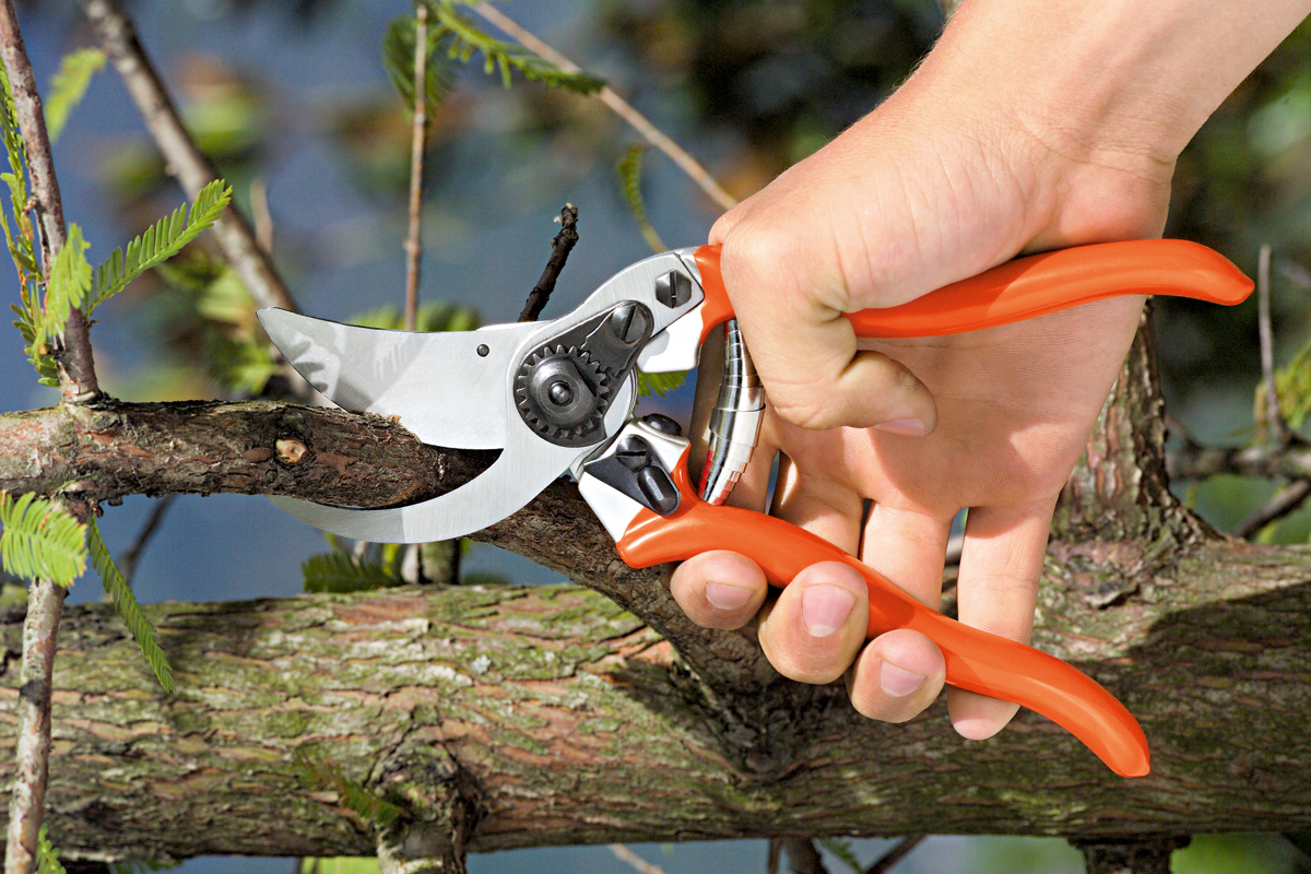 Stocker Profi Bypass Schere 20