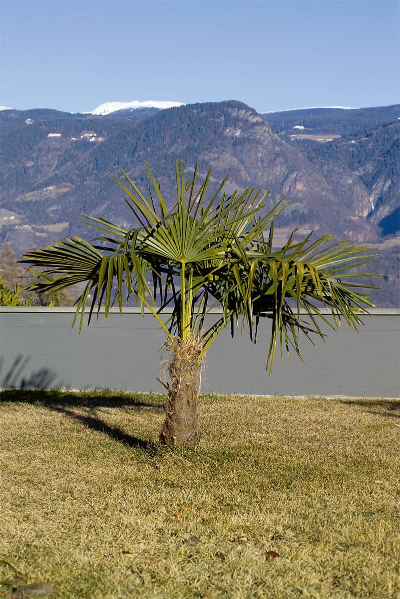 Stocker Protec Jutegewebematte 1 x 5 m