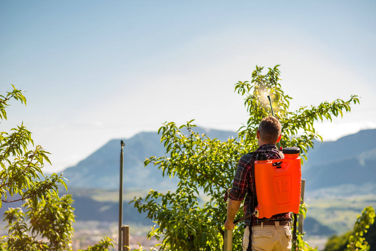 Stocker Rückenspritze 12 L