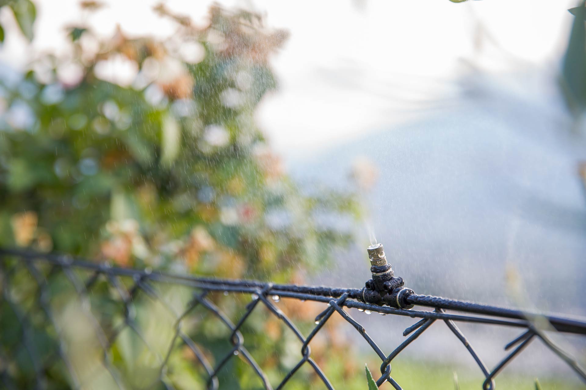 Schwarz-Schlauch 100 m ø 8 mm für Geyser