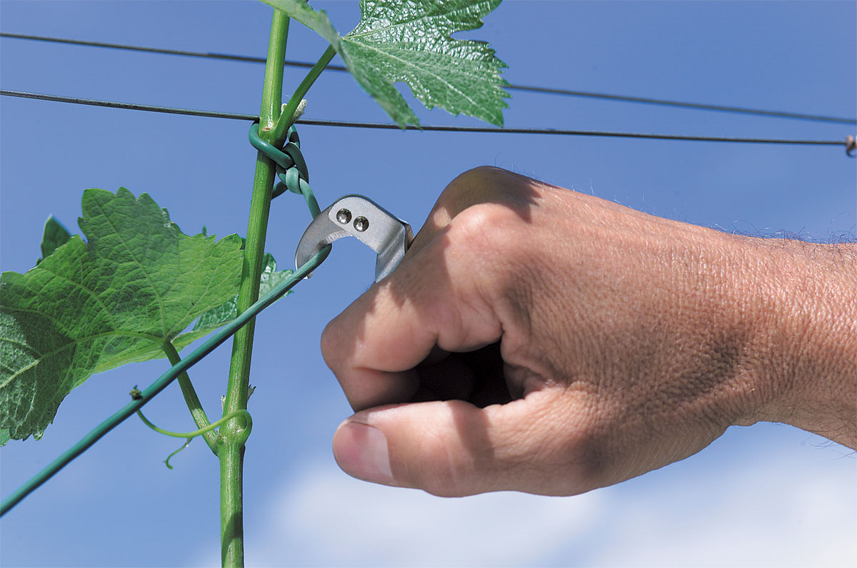 Stocker Set Ring-Schneidemesser