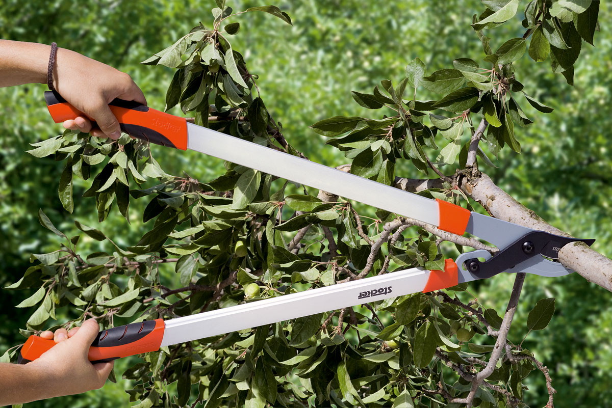 Stocker Astschere Profi 80 Bypass