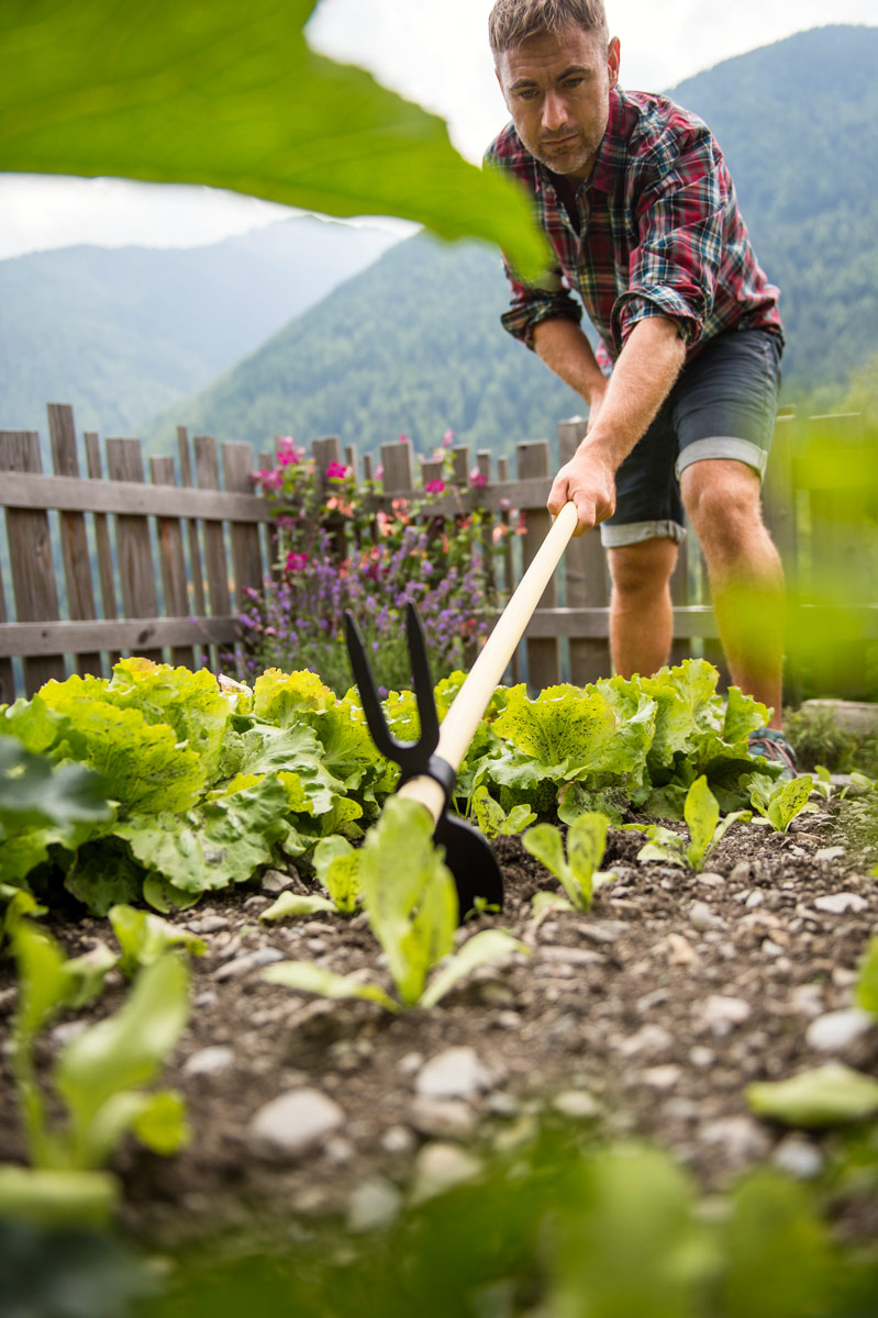 Stocker Herzförmige Doppelhacke 500 g