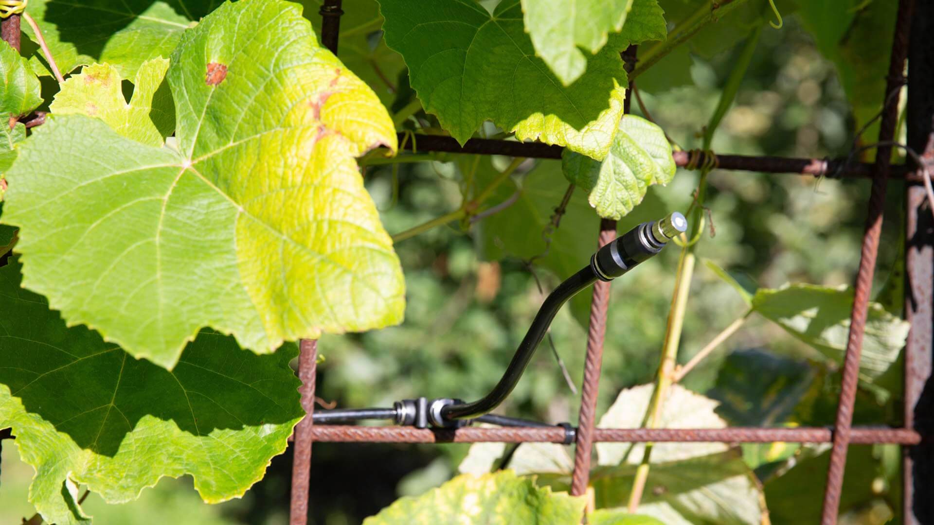 Kit Düsenausrichtung Geyser