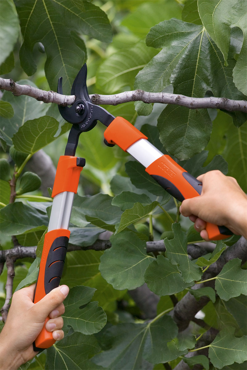 Stocker Astschere Profi 45 Bypass