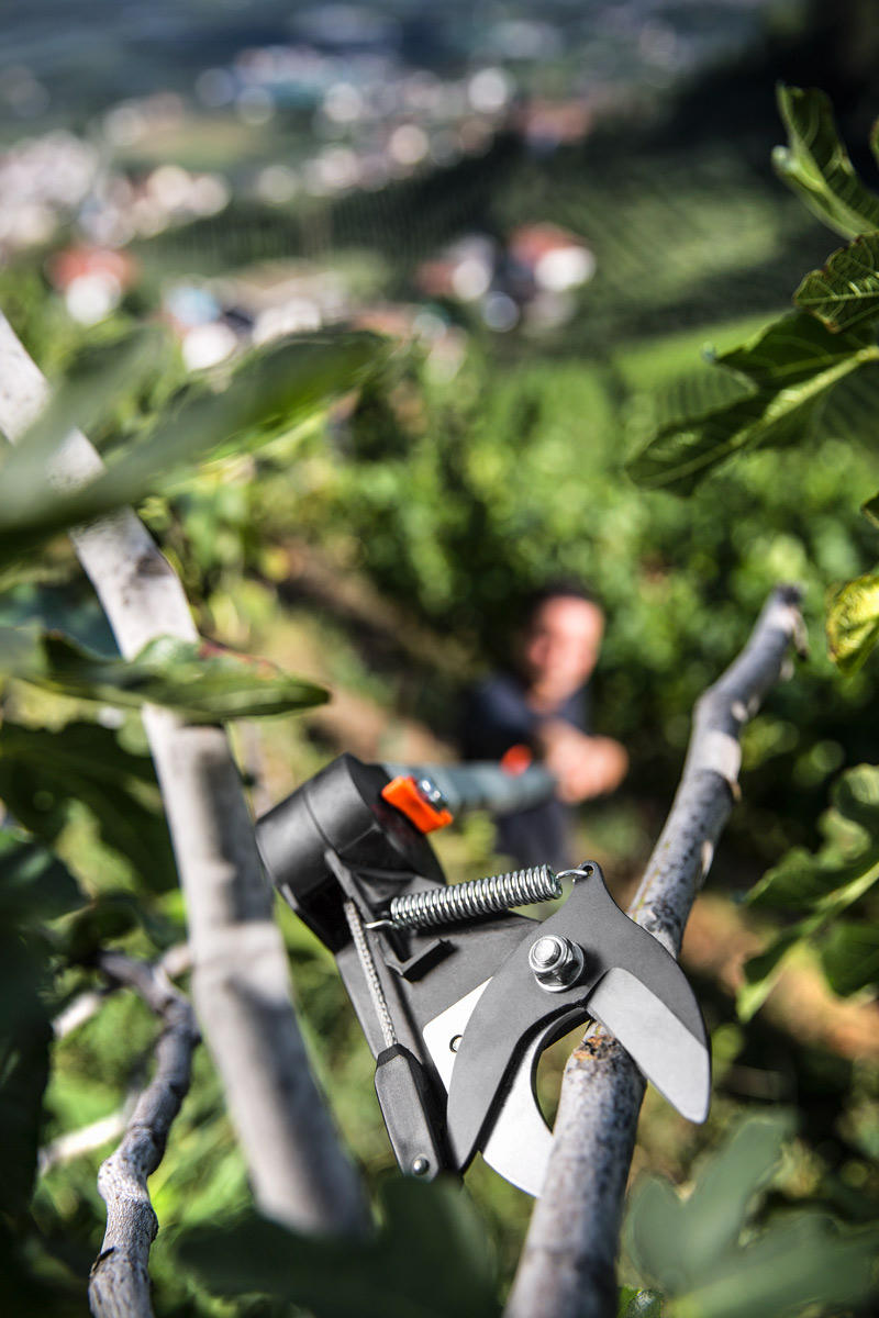 Stocker Teleskop-Langarmschere