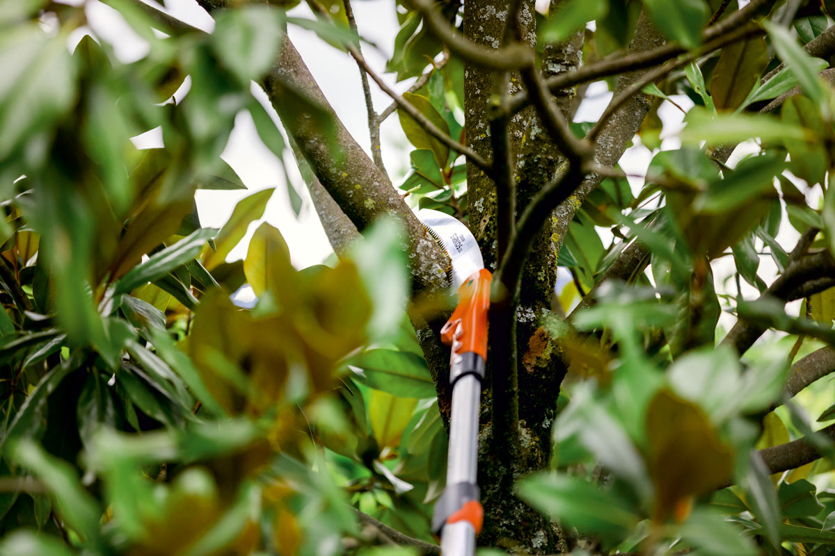 Stocker Säge Sirkos 330 TC mit Teleskopstiel