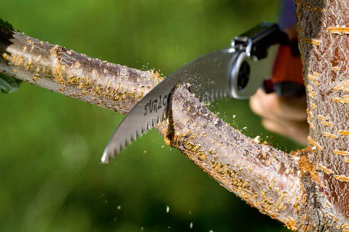 Stocker Klappsäge Suracon 210 LC