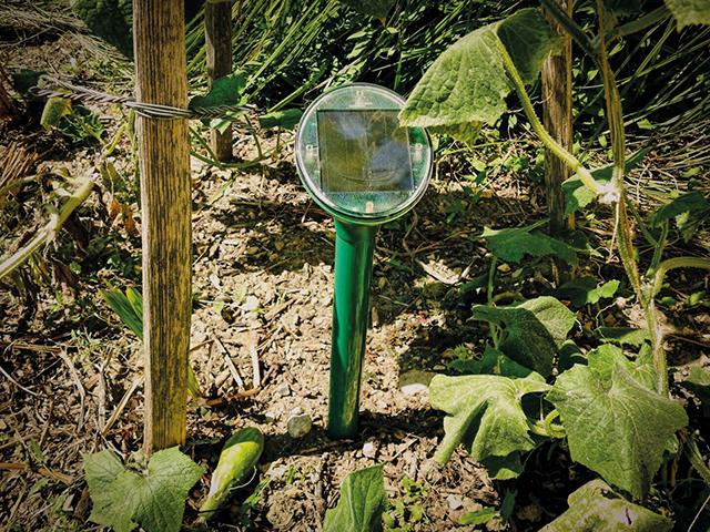 Solar-Maulwurf-Vertreiber