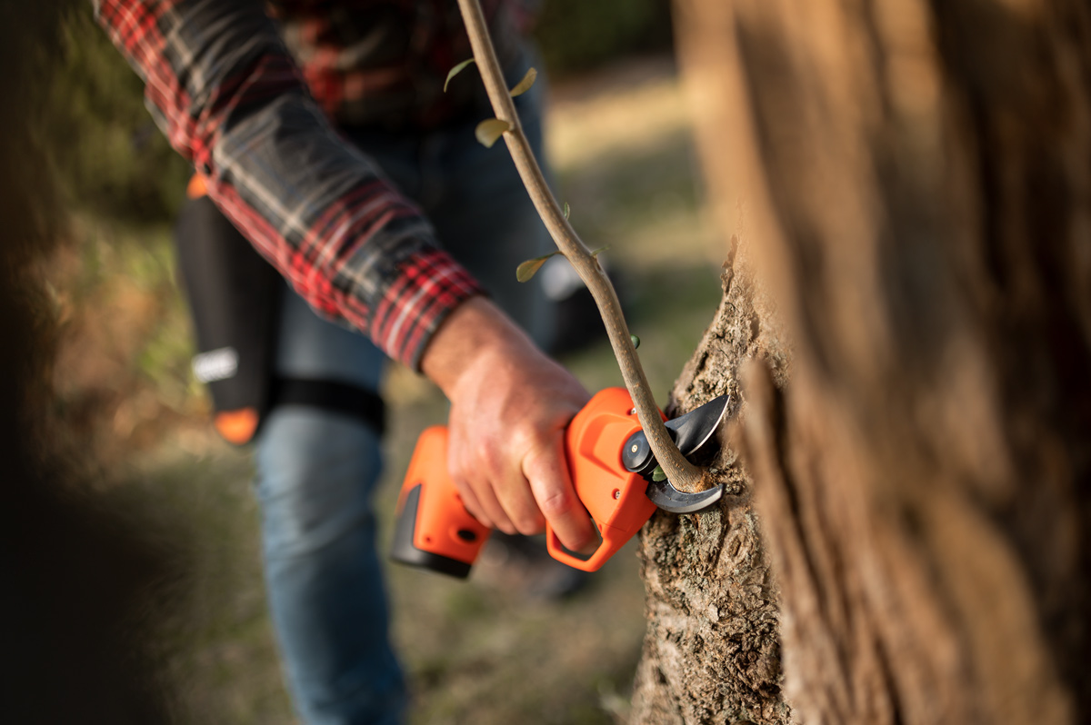 Stocker Schere Vulcano E-25 TR Basic