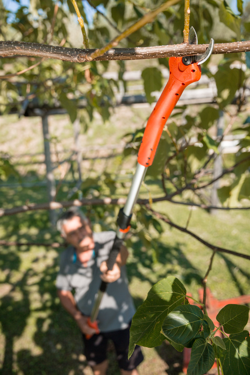 Stocker Kantia E-22 TR Teleskopschere