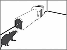 Mausefalle NoSeeNoTouch inkl. Köder SuperCat Swissinno Solution