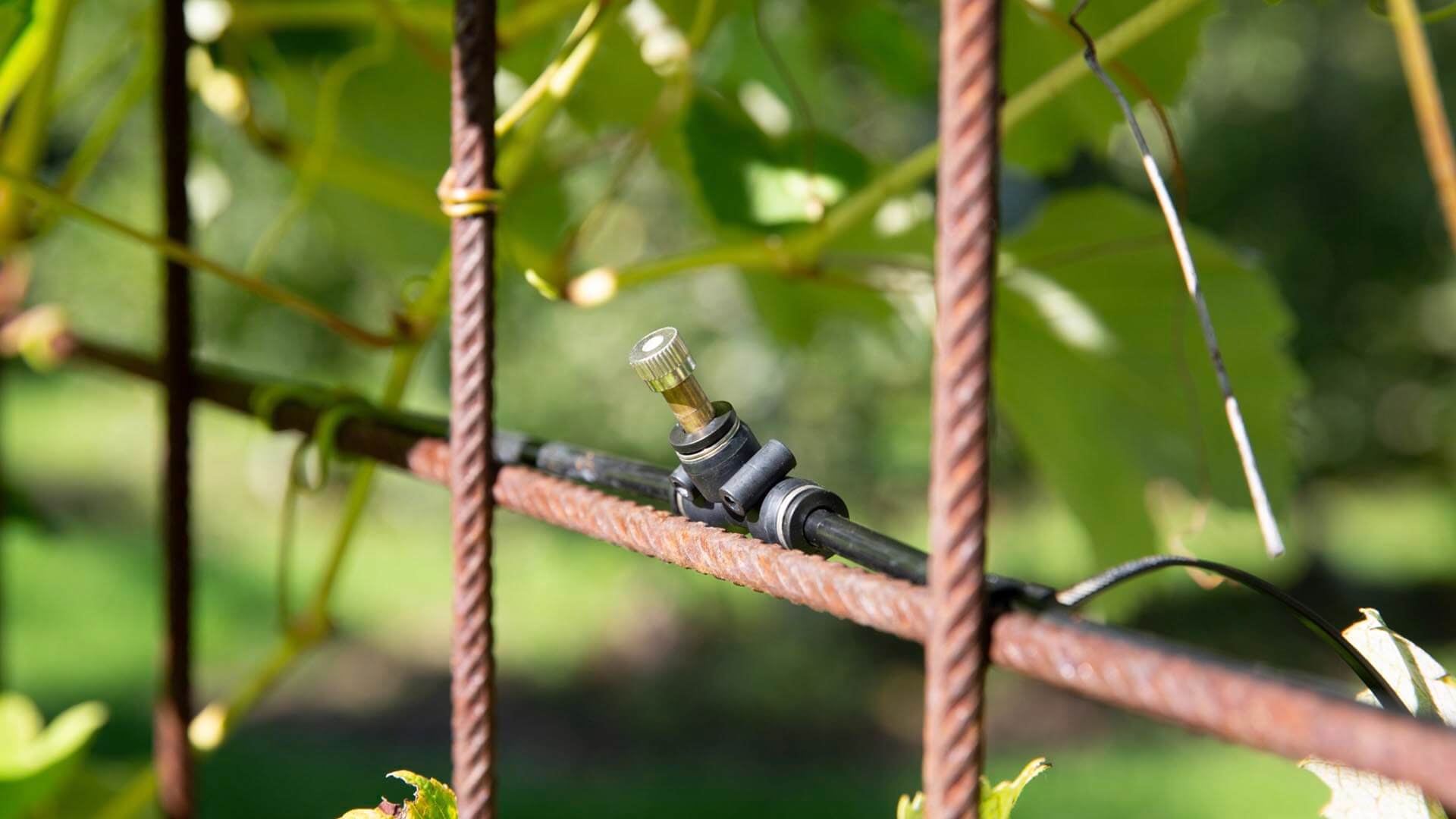 Düsen mit Anti-Tropf-System lose Ø 6 mm für Geyser