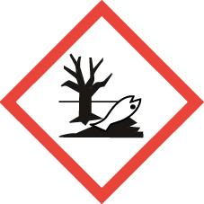 Grünbelagsentferner 1 L, Konzentrat