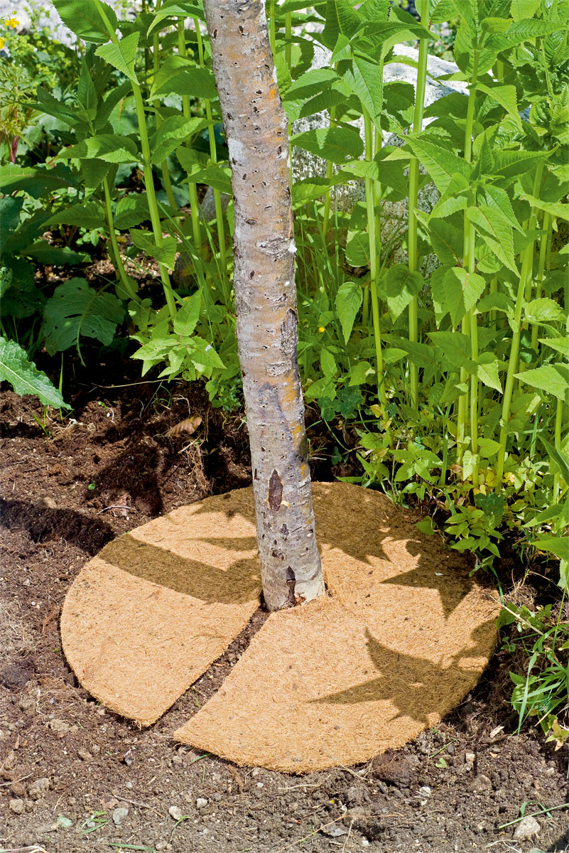 Stocker Kokosmatte 35