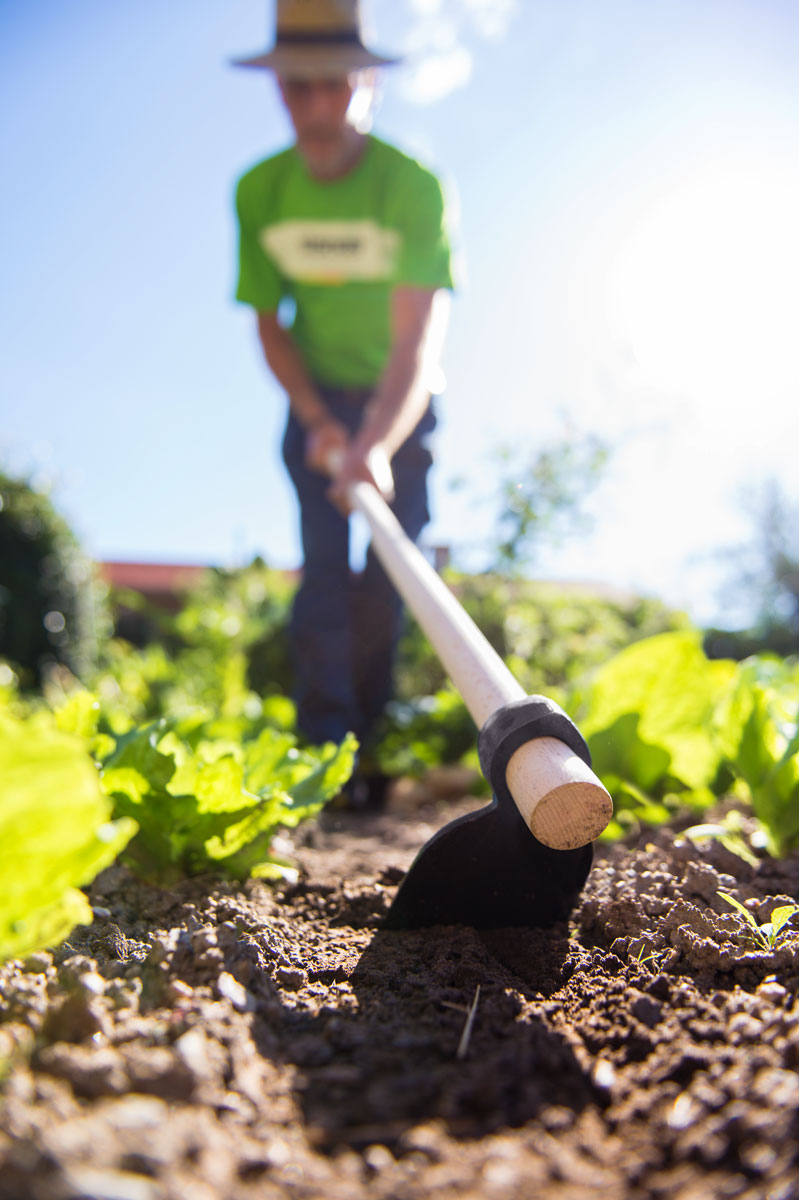 Stocker Hacke Auge rund 600 g