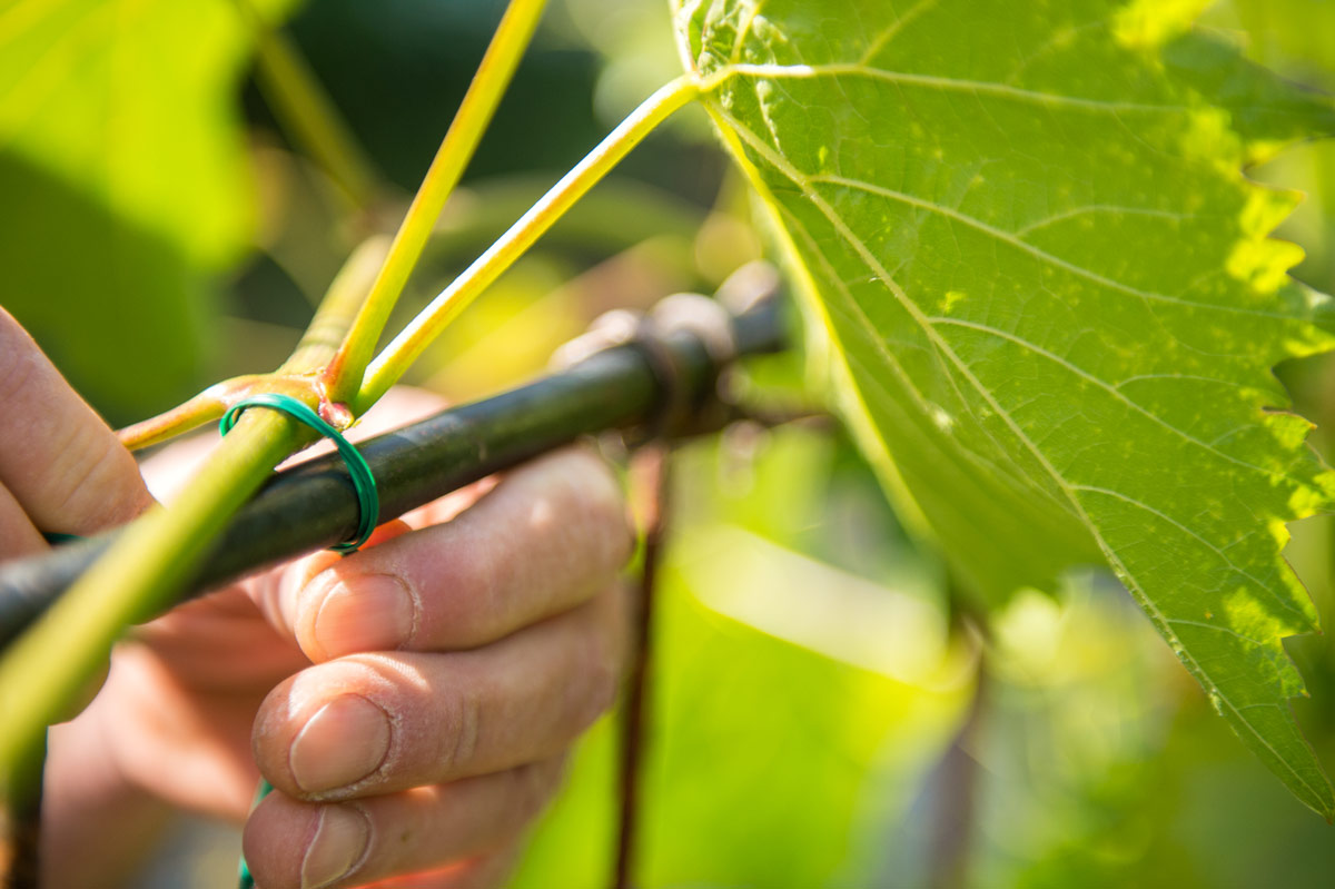 Stocker Stofix Bindedraht flach 12 cm