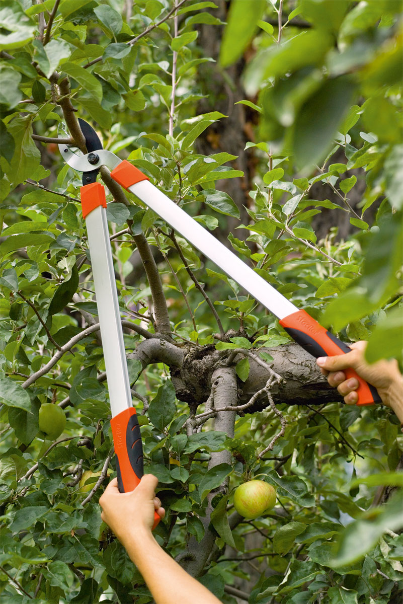 Stocker Astschere Hobby 66 Amboss