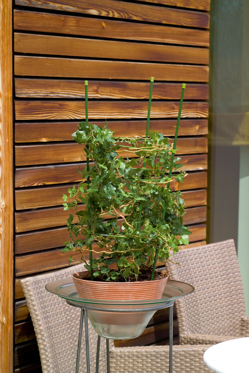 Stocker Rankhilfe 60 cm