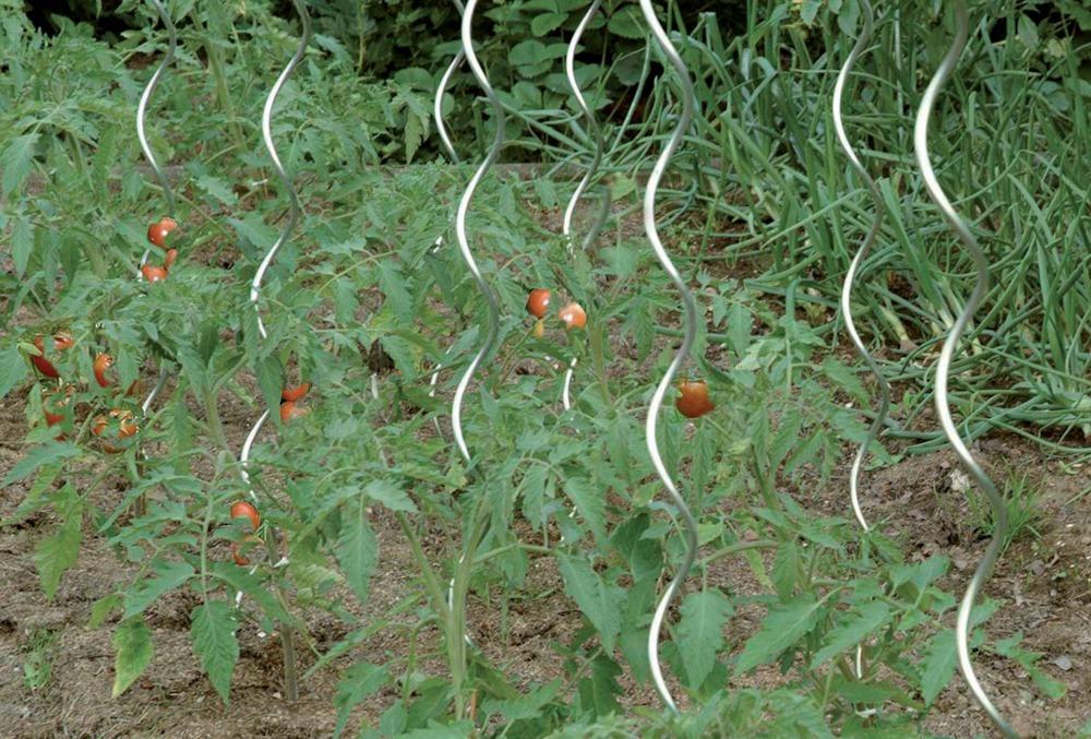 Tomatenspiralstab 180 cm verzinkt Floraworld