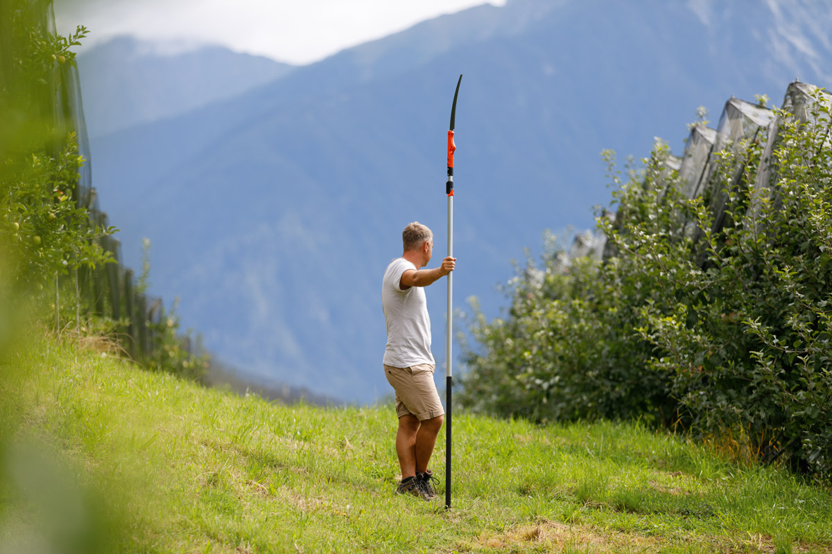 Stocker Säge Sirkos 330 TC mit Teleskopstiel