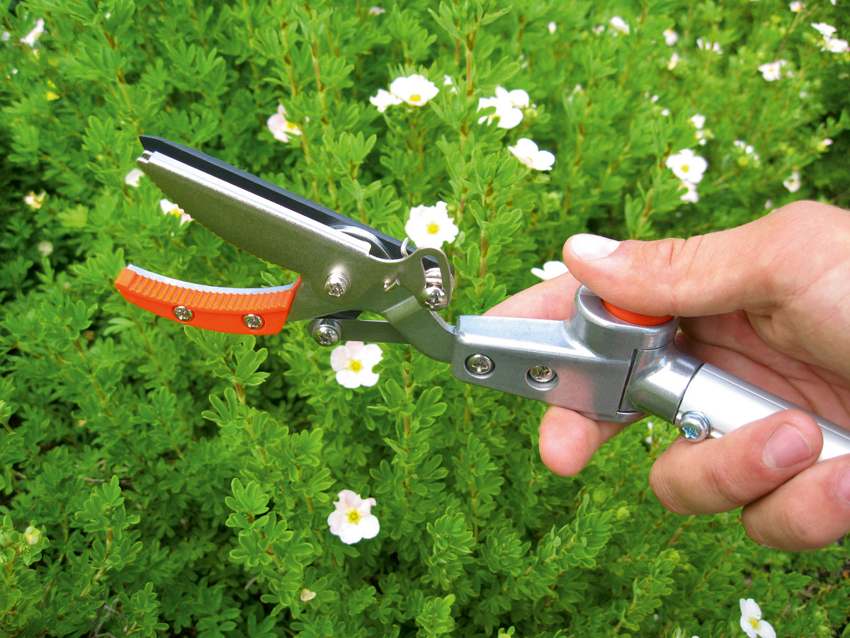 Stocker Teleskop-Schere mit beweglichem Kopf