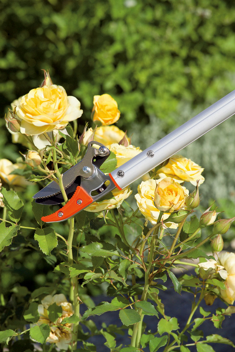 Stocker Greifschere 60