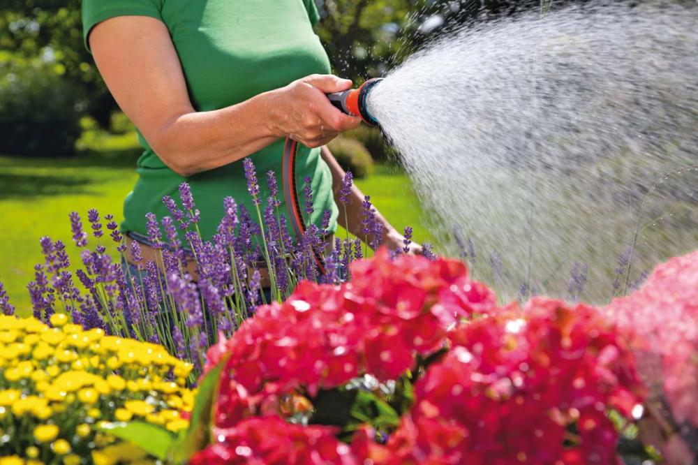 Bewässerungsbrause SB 18310-20