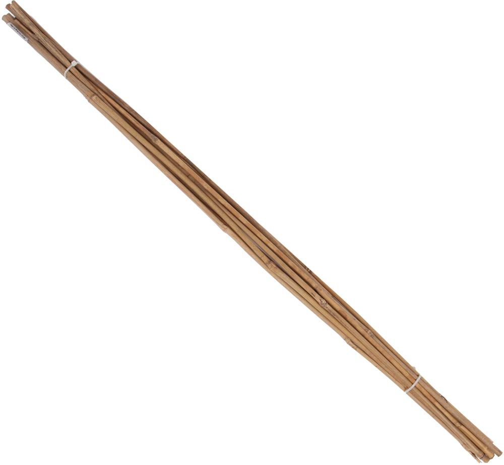 Tonkin-Pflanzstab 10er Set