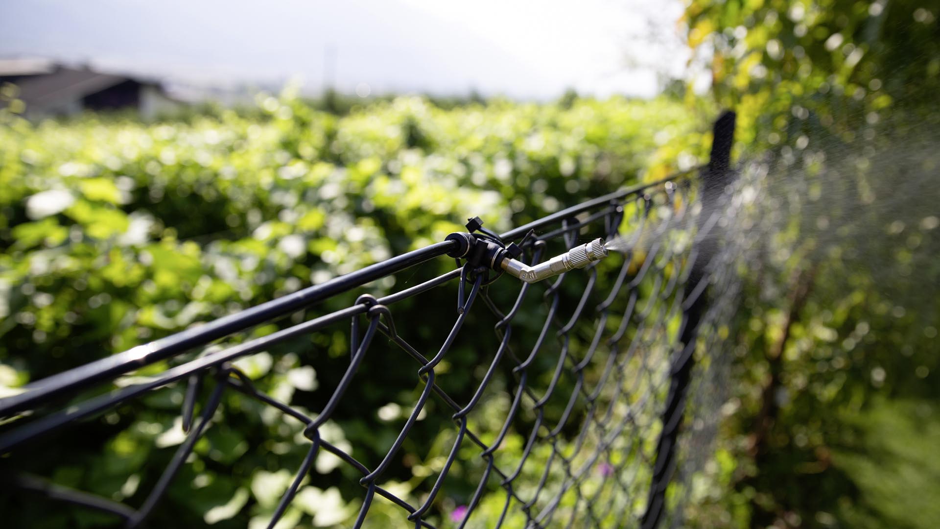 Düsen mit Anti-Tropf-System lose 135° Ø 6 mm für Geyser