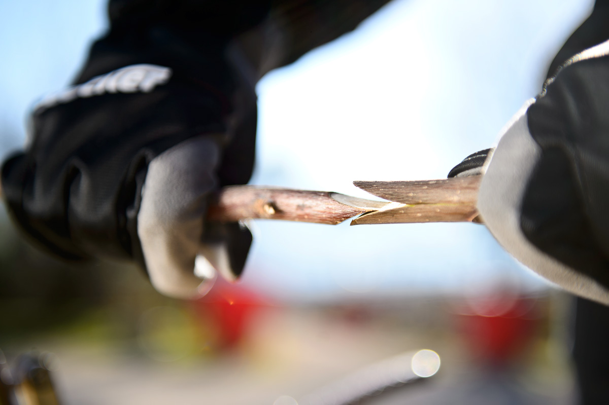 Stocker Veredelungszange Top