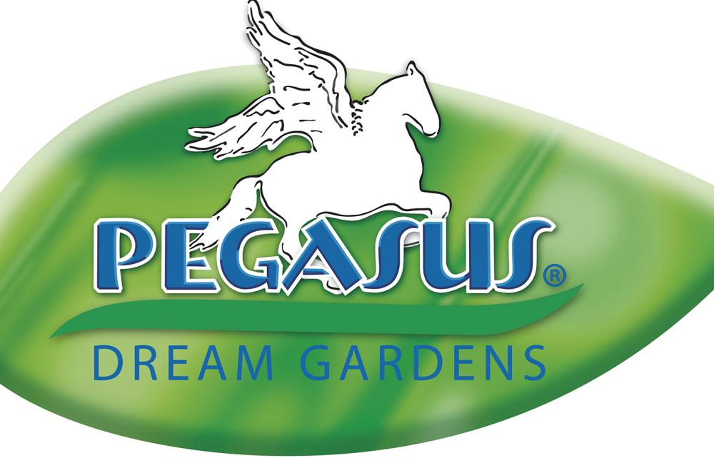 Universalrasen 1 kg Pegasus